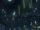 Colossus Hangar