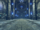 Corridor of Silence