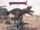 Douglas in combat with 光剑.JPG
