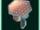 Hexagauge