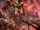 Illustrations of 劳 and 答格 fourth time in the main g img rareengine01.jpg