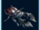 Kusakiri Stag Beetle
