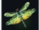 Noctilucent Dragonfly