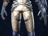 Valor Trudgers